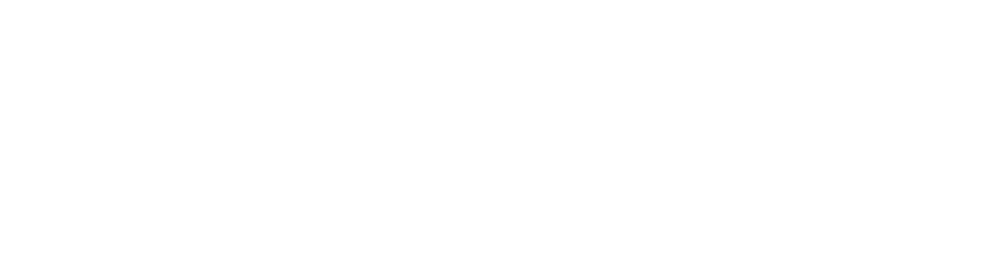 Brighton Students Union Logo